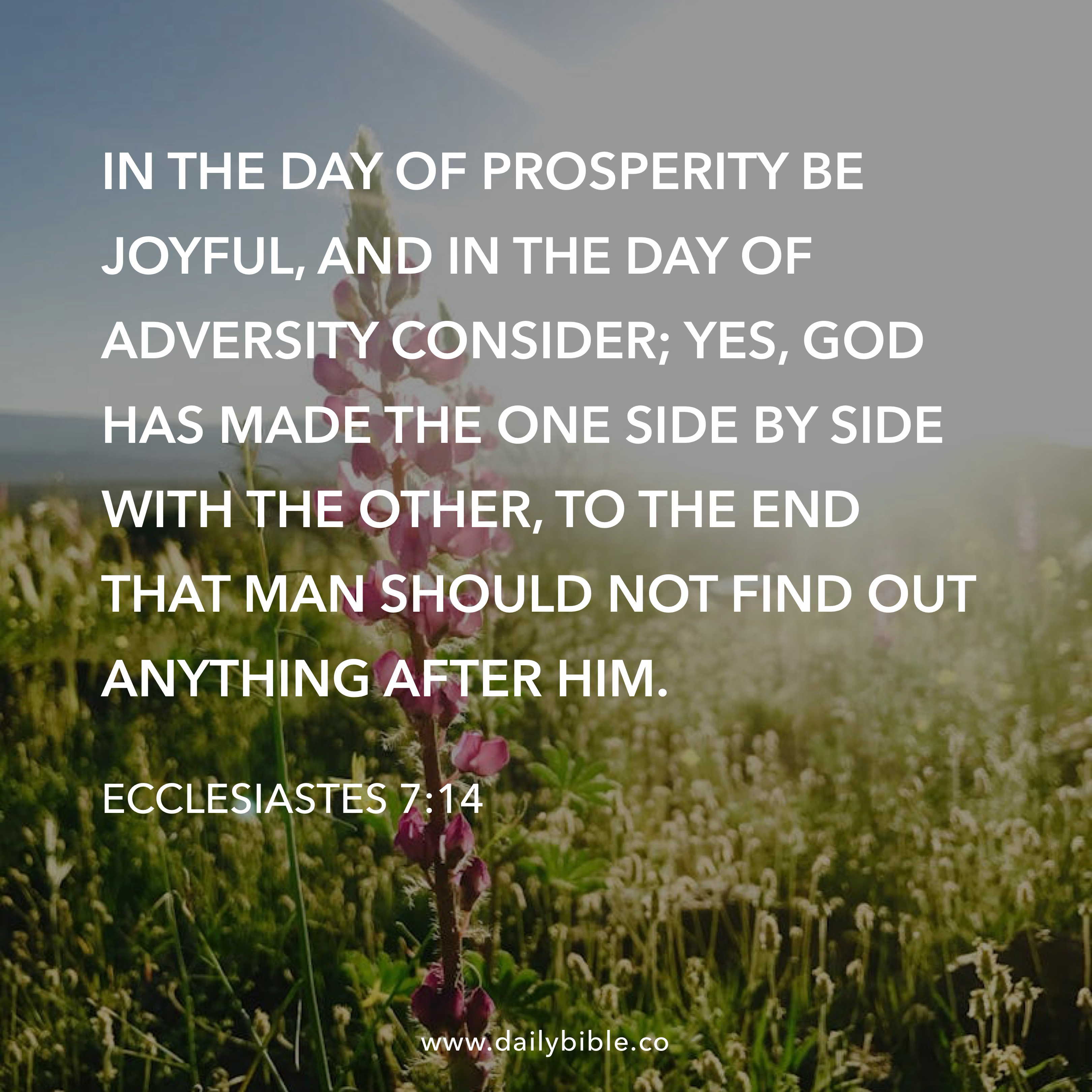 Preview of 5ab58af880d8-jpg