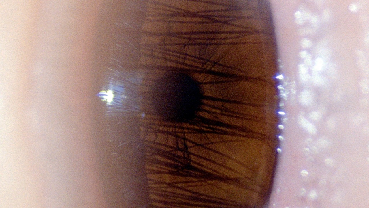 Thumbnail of Unpacking the Science and Mysticism of Intuition | Atmos