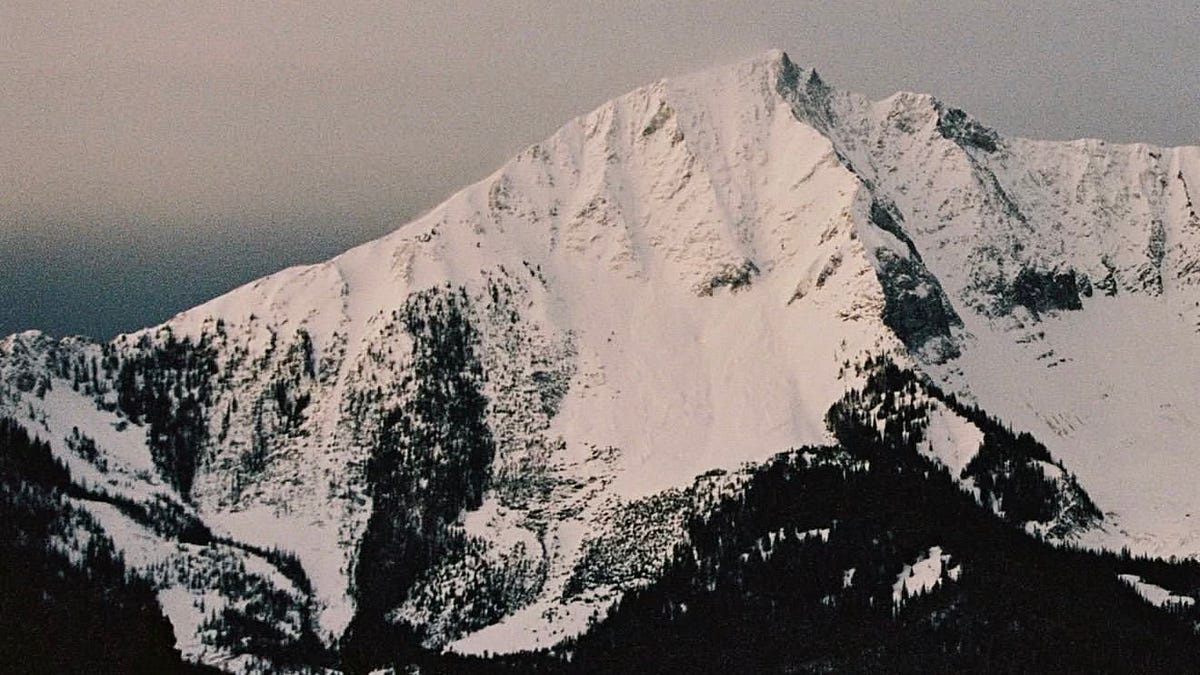 Thumbnail of patreon wants you to bet on scenes, not platforms