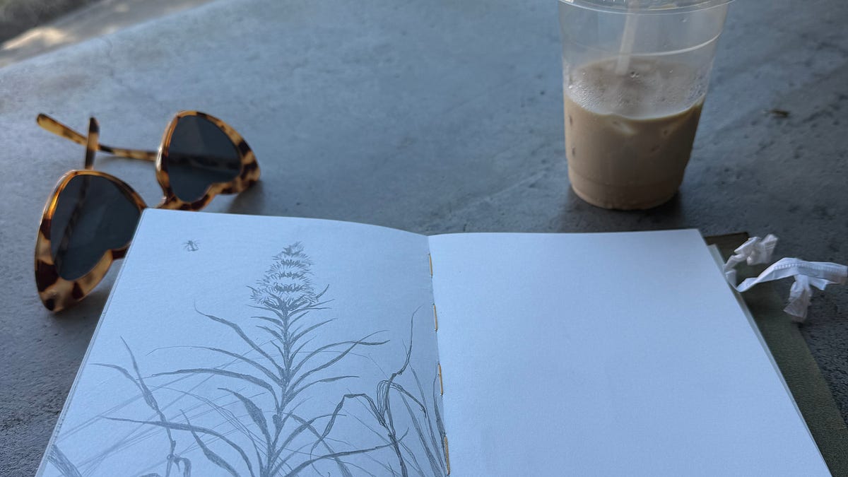 Thumbnail of Journaling for executive dysfunction kweens