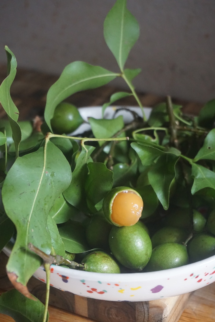 Thumbnail of Notes on Fruit & Research