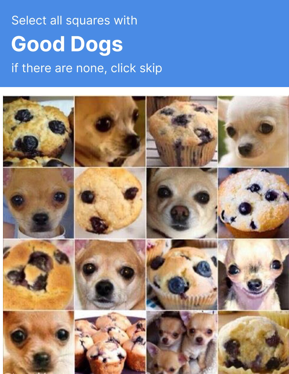 Preview of 970x1254-heic