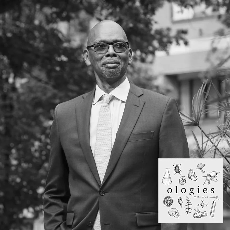 Cover of Cardiology (THE HEART) with Dr. Herman Taylor — alie ward