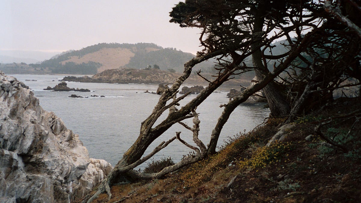 Thumbnail of Bathed in something new