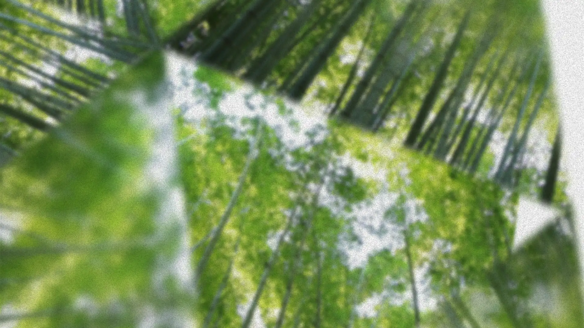 Thumbnail of Aliveness (what machines can't make) & Mailbox updates its brand and design