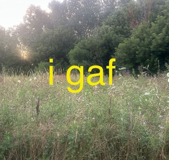 Thumbnail of Mansi Tiwari