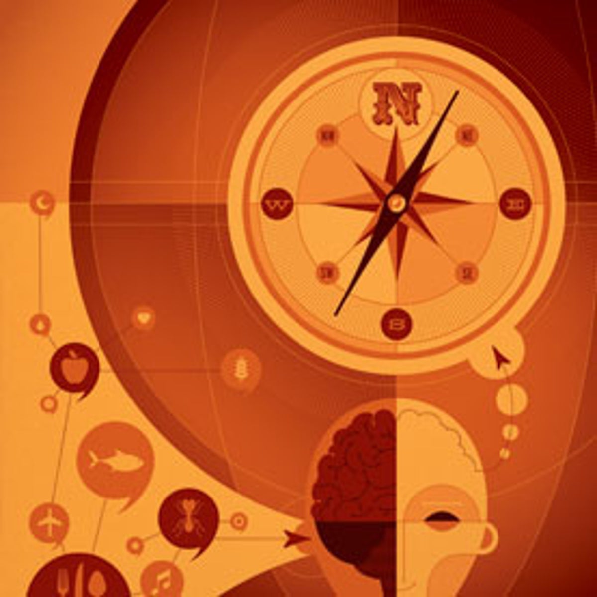 Thumbnail of How Language Shapes Thought