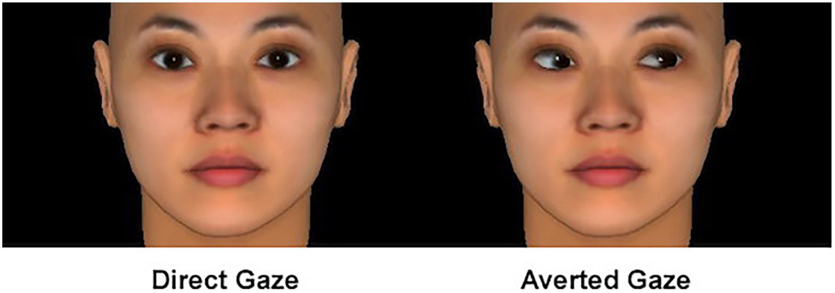 Thumbnail of Frontiers | Implicit Perceptions of Closeness From the Direct Eye Gaze