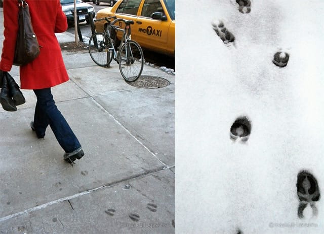 Thumbnail of Article