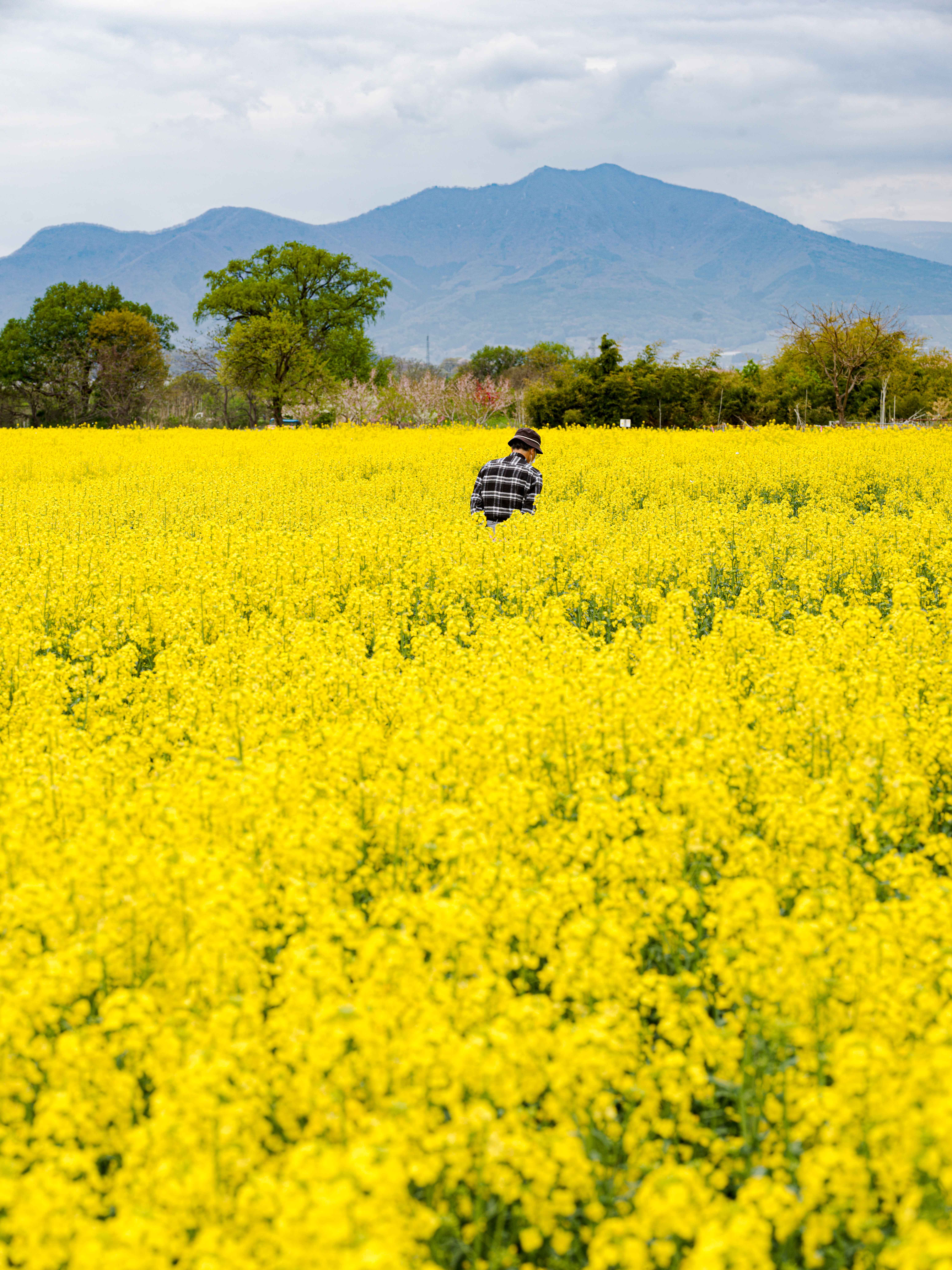 Preview of mountain-jpg-b8be