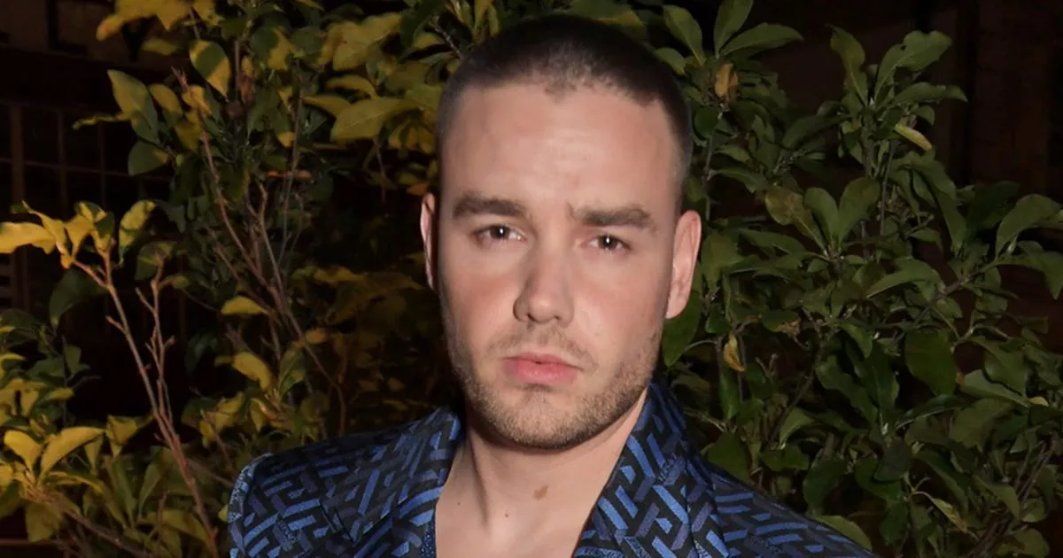 Thumbnail of Liam Payne's return flight to UK becomes most tracked plane in the world