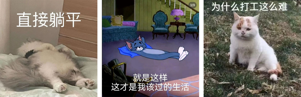 Thumbnail of FROM RESIGNATION TO REBELLION TO RESOURCEFULNESS - KEEPING PACE WITH CHINA'S POST-00S YOUTH