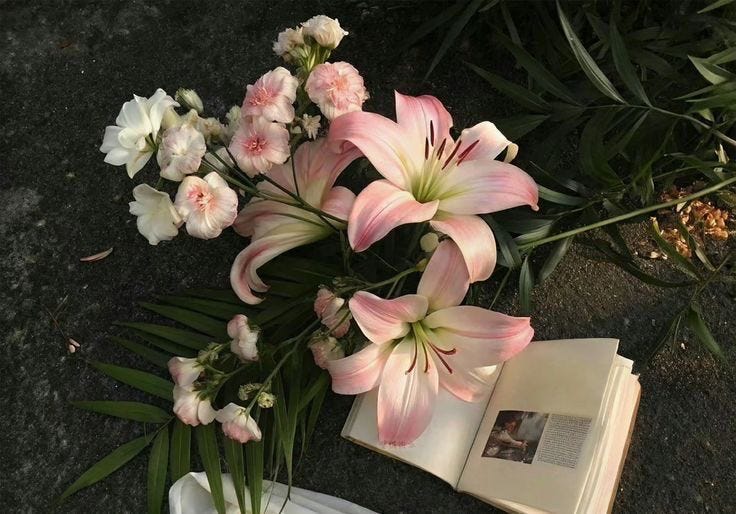 Thumbnail of maybe it's okay to let your figs rot