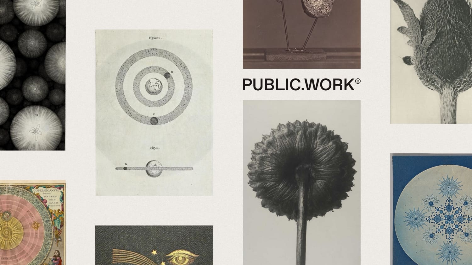 Thumbnail of Public Work by Cosmos