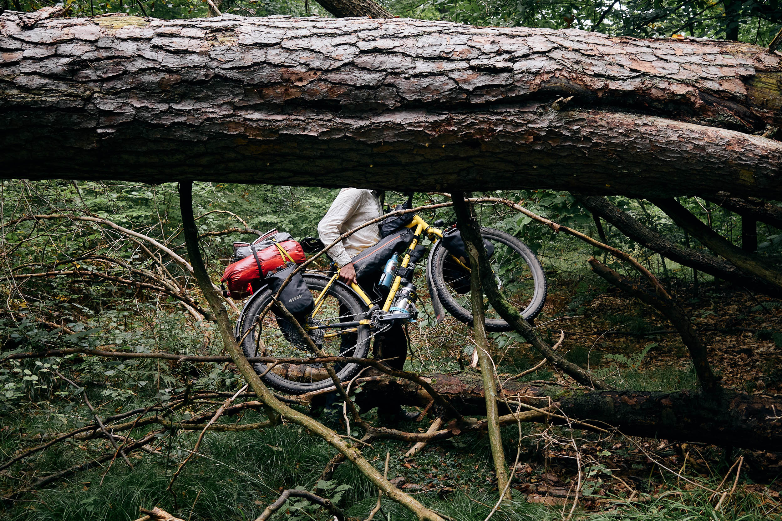 Thumbnail of When We Get Komooted