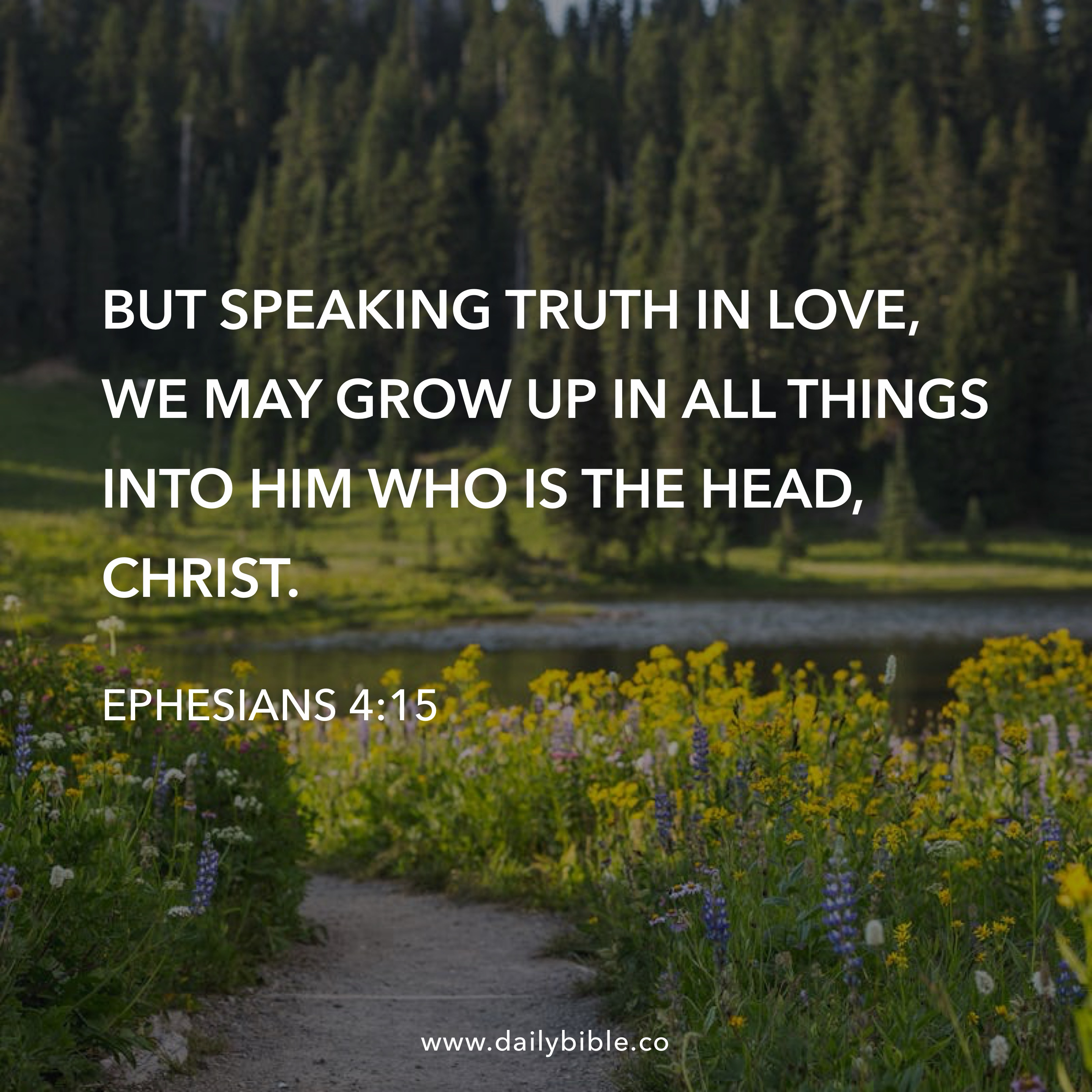 Preview of e16ab02d9901-jpg