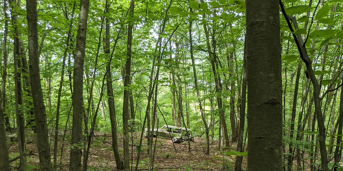 Thumbnail of Love is the Answer to Climate Crisis (Yes, I’m Serious)