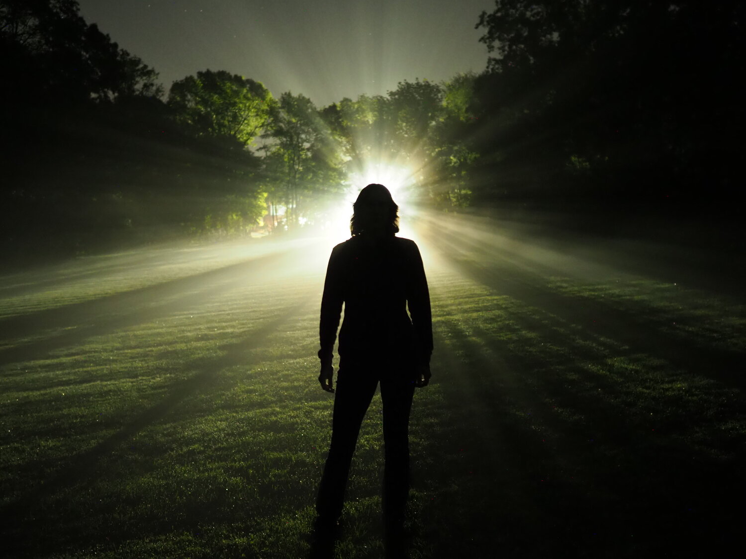 Thumbnail of Disorientation — KATIE MACK, ASTROPHYSICIST