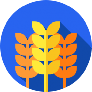 Thumbnail of FoodOn – FoodOn: A farm to fork ontology