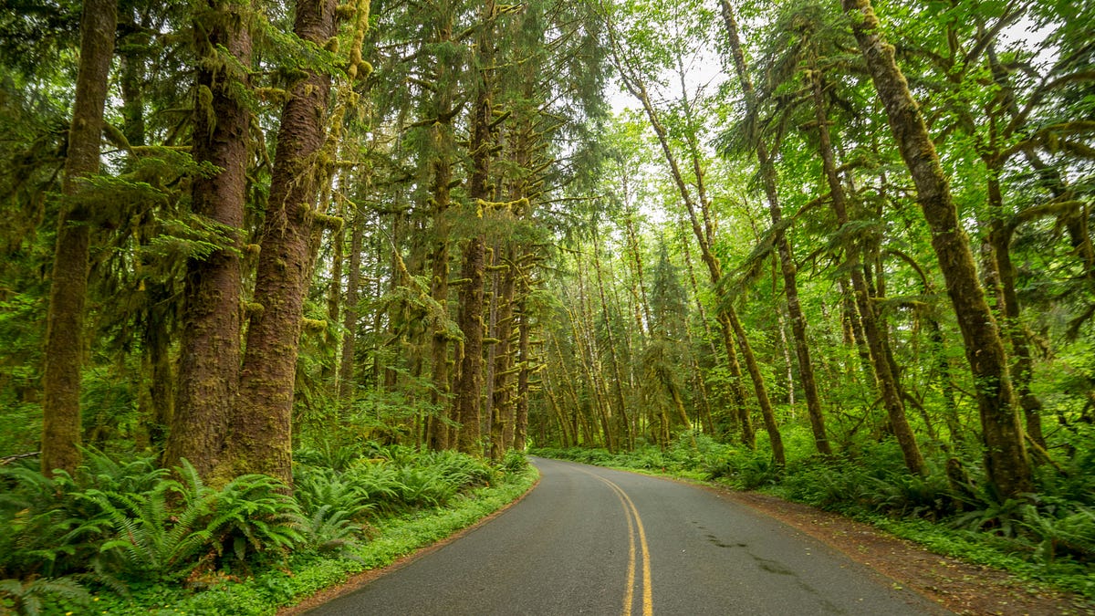 Thumbnail of Polyvagal Theory is Dead. Now What?