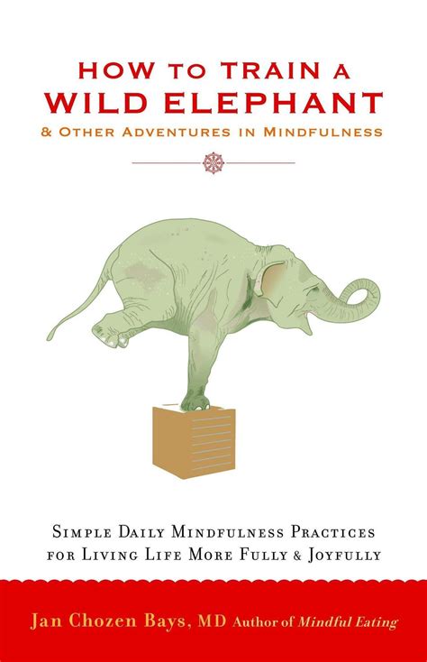 Cover of How to Train a Wild Elephant