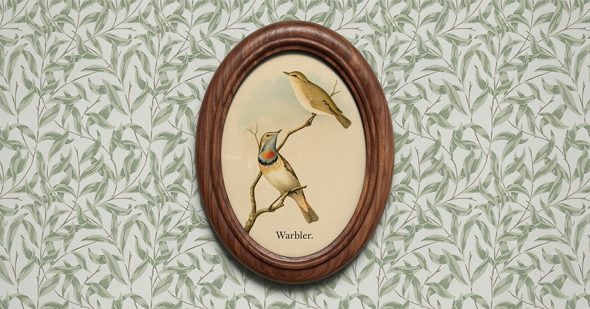 Thumbnail of Warbler