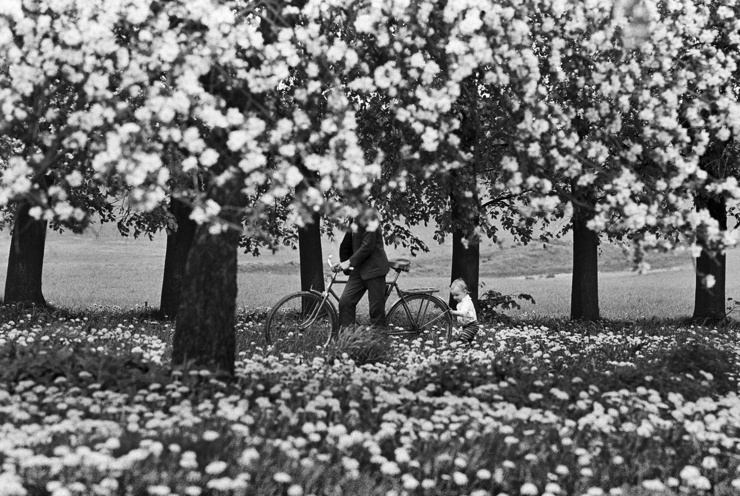 Thumbnail of The Weight of Wanting to Become — Business & Arts