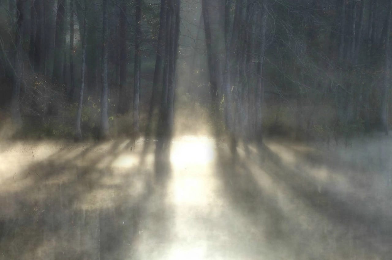 Thumbnail of Article