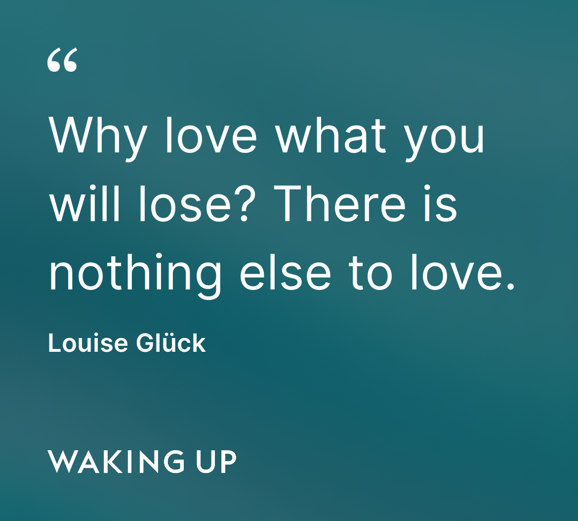 Preview of f85818d23194-jpg