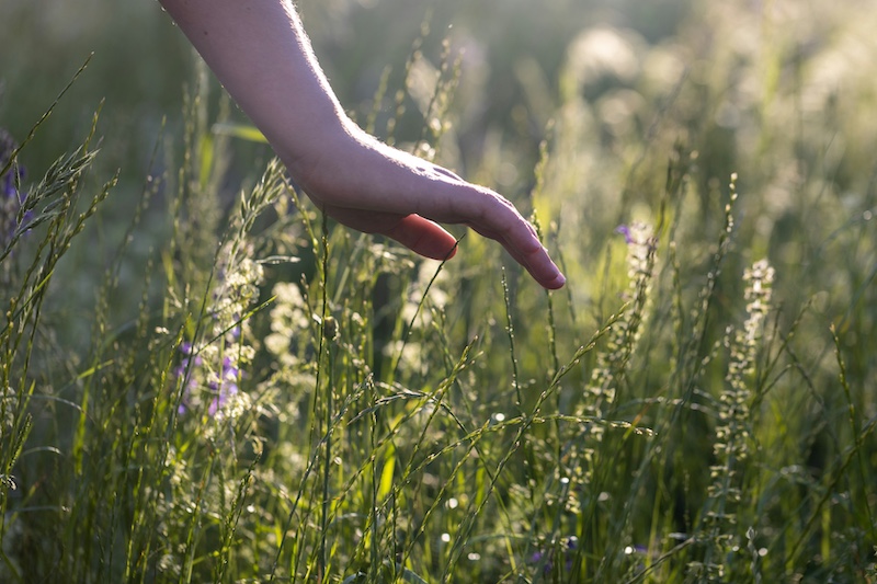 Thumbnail of Connecting with the Root of Our Being