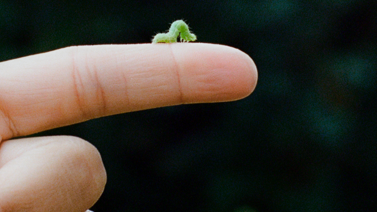 Thumbnail of Embracing the Beauty of Insignificance | Atmos