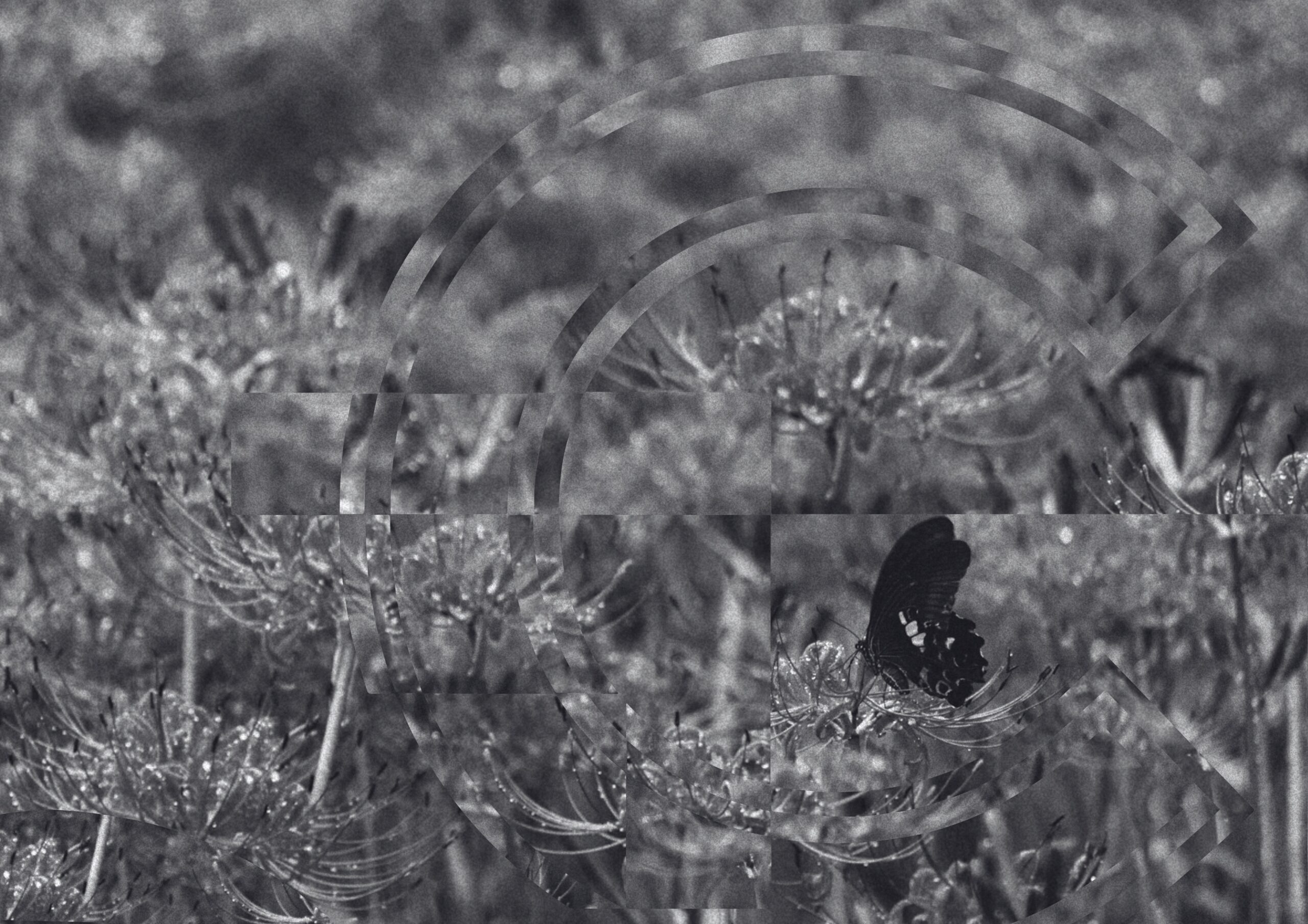 Thumbnail of Rehearsing Our Loved One’s Death Might Be the Way to Go