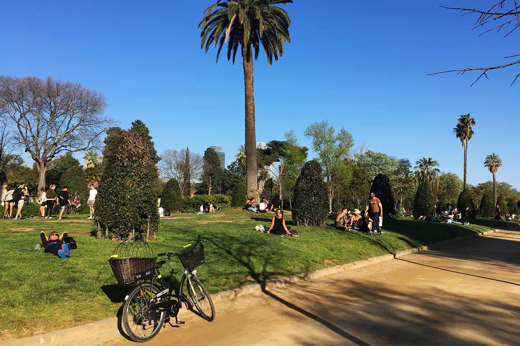Thumbnail of 10 Fun Things To Do In Barcelona In Spring (Pictures)
