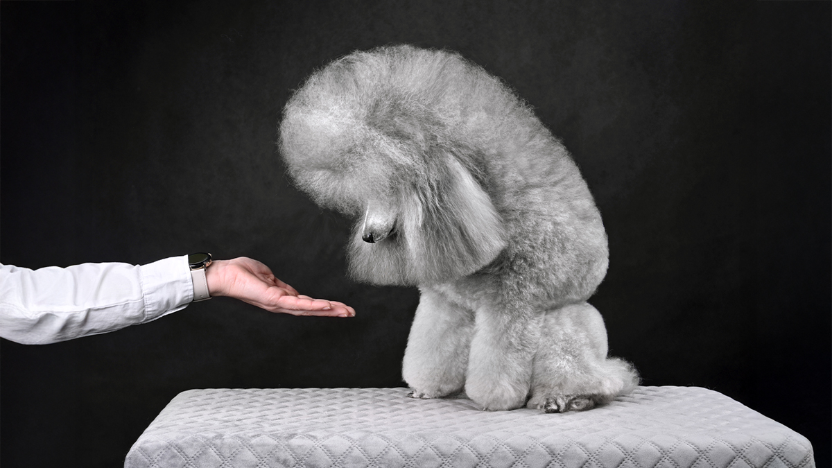 Thumbnail of When Senior Leaders Lack People Skills, Transformations Fail