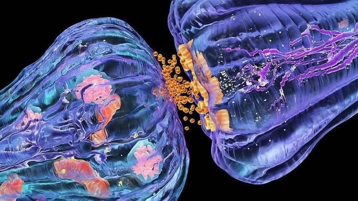 Thumbnail of Here’s the Neuroscience Behind Women’s Intuition