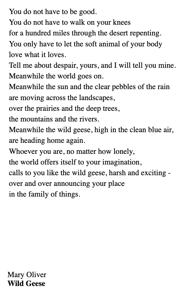 Preview of pm-png-ee4a