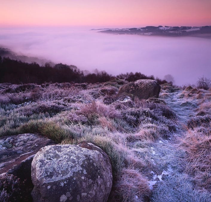 Thumbnail of this is not an essay about Emerald Fennell's "Wuthering Heights"