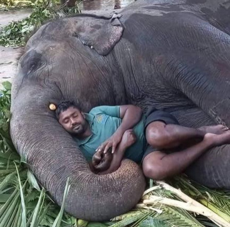 Thumbnail of Found on Cosmos