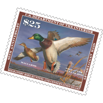 Thumbnail of national-zoo-bird-house-delaware-bay-aviary