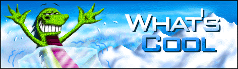 Thumbnail of The old web, the cool web, the weird web, the hand-organized web… died.