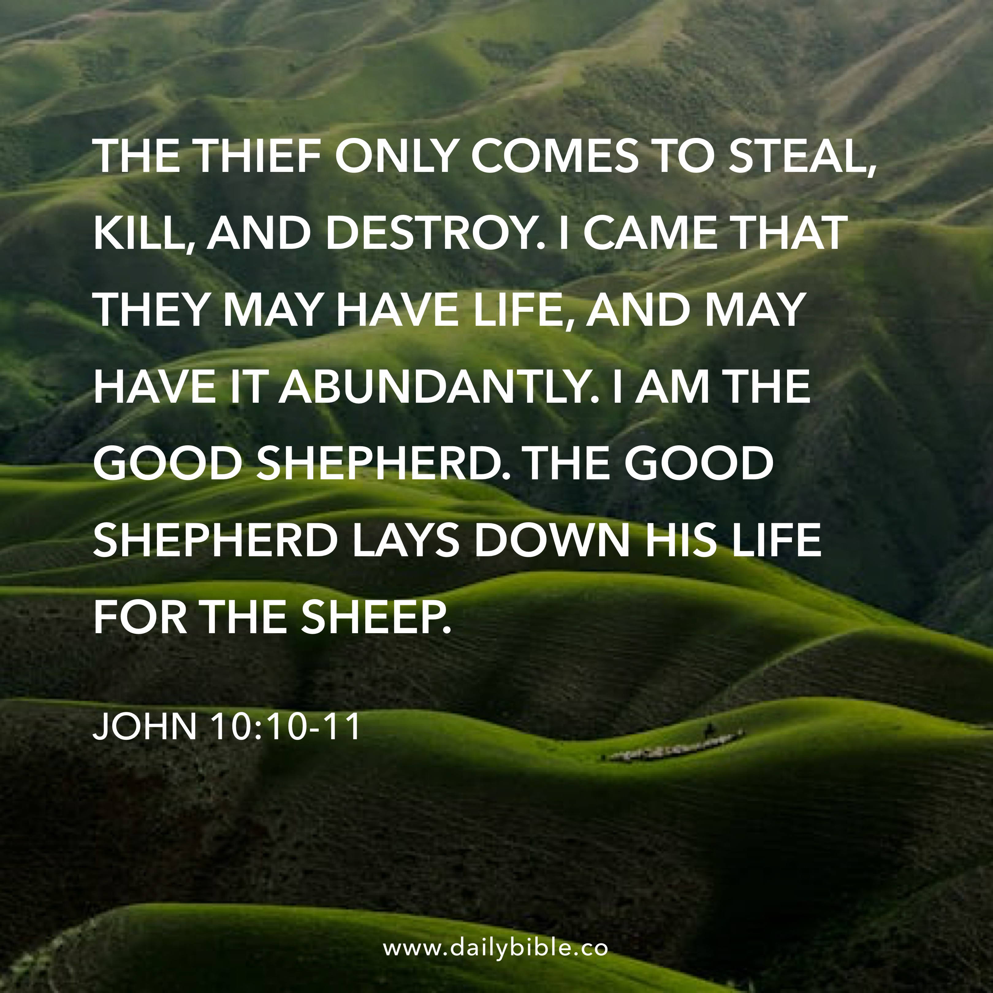 Preview of a354a1535939-jpg