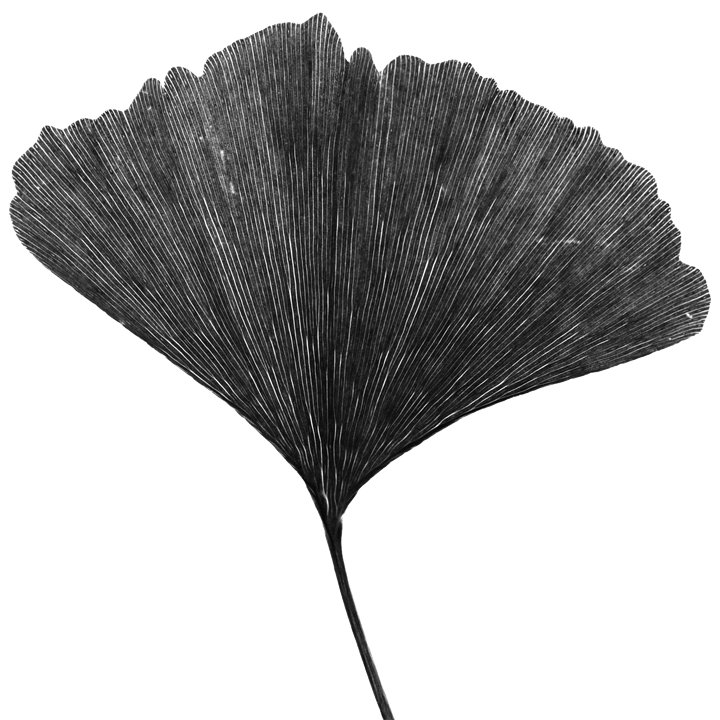 Thumbnail of Modal Foundation