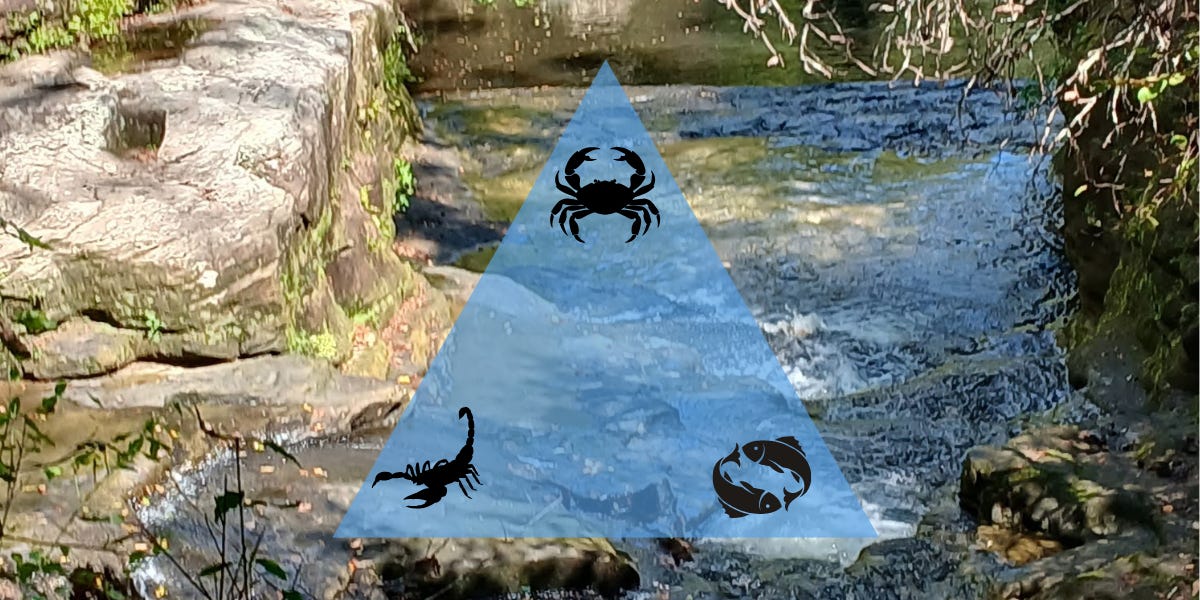 Thumbnail of Fall 2025: The Grand Water Trine Brings Results, Ready or Not