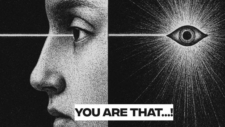 Thumbnail of The Illusion of Duality