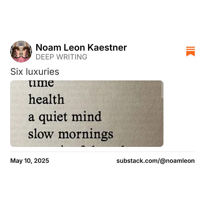Thumbnail of Noam Leon Kaestner on Substack