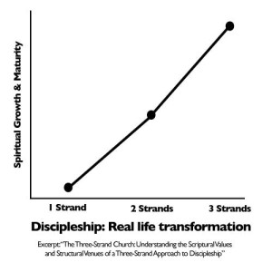 Thumbnail of Core 3 Strand Discipleship - Core Discipleship | Go Make Disciples