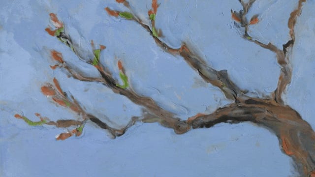 Thumbnail of A vida não espera a versão "pronta" de você