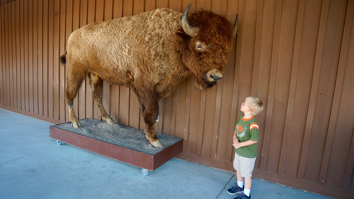 Thumbnail of When Executive Presence Backfires