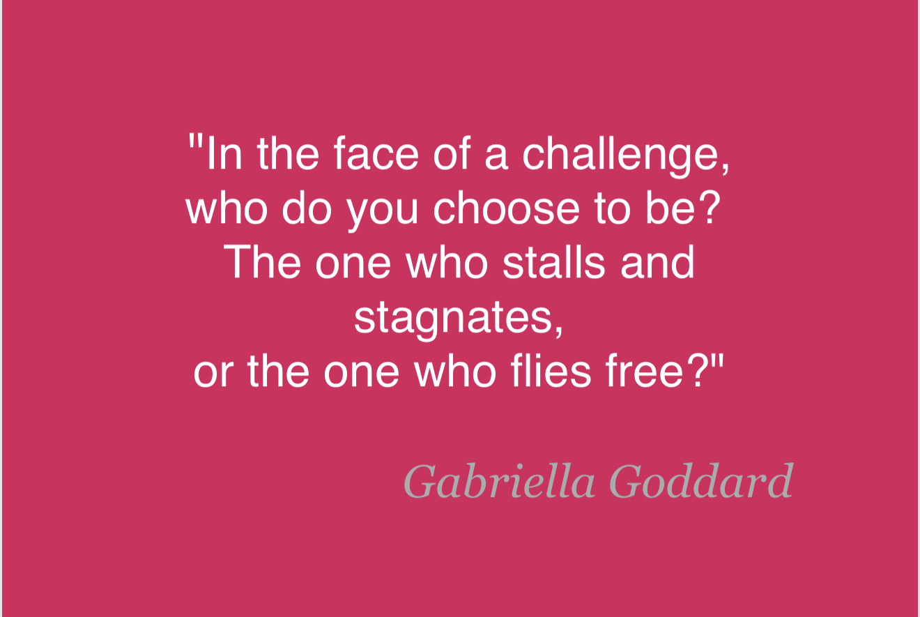 Preview of 22493e6fe5fd-png