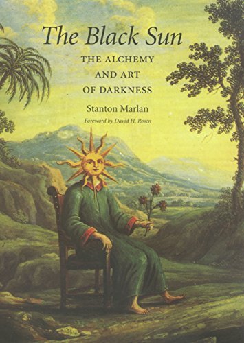 Cover of The Black Sun: The Alchemy and Art of Darkness (Carolyn and Ernest Fay Series in Analytical Psychology Book 10)